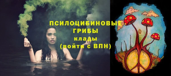 сатива Алексеевка