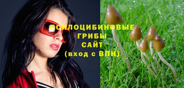 гидропоника Алзамай
