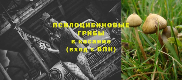 гидропоника Алзамай