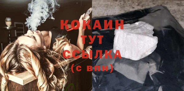 гашик Алексин