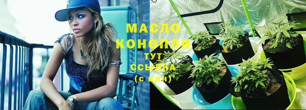 гидропоника Алзамай