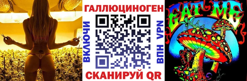 Псилоцибиновые грибы GOLDEN TEACHER  цена наркотик  Любим 